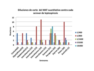 0
2
4
6
8
10
12
Reactores
Serovares
Diluciones de corte del MAT cuantitativo contra cada
serovar de leptospirosis
1/400
1/800
1/1600
1l3200
1l6400
 