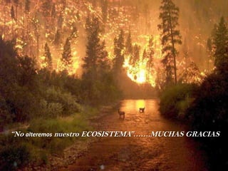 “No alteremos nuestro ECOSISTEMA”…….MUCHAS GRACIAS
 
