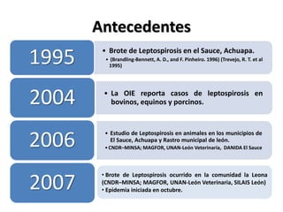 Antecedentes
• Brote de Leptospirosis en el Sauce, Achuapa.
• (Brandling-Bennett, A. D., and F. Pinheiro. 1996) (Trevejo, R. T. et al
1995)
1995
• La OIE reporta casos de leptospirosis en
bovinos, equinos y porcinos.2004
• Estudio de Leptospirosis en animales en los municipios de
El Sauce, Achuapa y Rastro municipal de león.
•CNDR–MINSA; MAGFOR, UNAN-León Veterinaria, DANIDA El Sauce2006
2007
• Brote de Leptospirosis ocurrido en la comunidad la Leona
(CNDR–MINSA; MAGFOR, UNAN-León Veterinaria, SILAIS León)
• Epidemia iniciada en octubre.
 