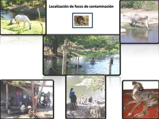Localización de focos de contaminación
 