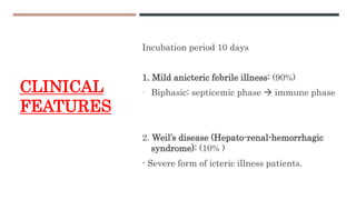 Leptospirosis- Dr.Ashna Ajimsha | PPTX