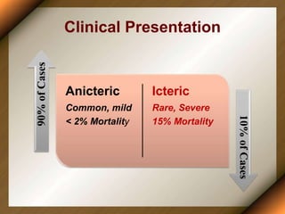 Clinical Presentation
Anicteric
Common, mild
< 2% Mortality
Icteric
Rare, Severe
15% Mortality
90%
of
Cases
10%
of
Cases
 