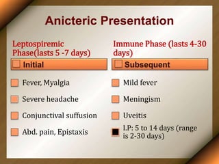 Anicteric Presentation
Leptospiremic
Phase(lasts 5 -7 days)
Fever, Myalgia
Severe headache
Conjunctival suffusion
Abd. pain, Epistaxis
Immune Phase (lasts 4-30
days)
Mild fever
Meningism
Uveitis
I.P: 5 to 14 days (range
is 2-30 days)
 