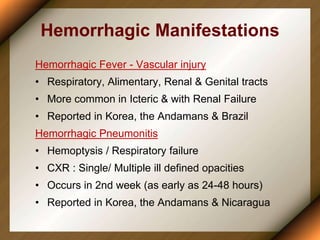 Hemorrhagic Manifestations
Hemorrhagic Fever - Vascular injury
• Respiratory, Alimentary, Renal & Genital tracts
• More common in Icteric & with Renal Failure
• Reported in Korea, the Andamans & Brazil
Hemorrhagic Pneumonitis
• Hemoptysis / Respiratory failure
• CXR : Single/ Multiple ill defined opacities
• Occurs in 2nd week (as early as 24-48 hours)
• Reported in Korea, the Andamans & Nicaragua
 