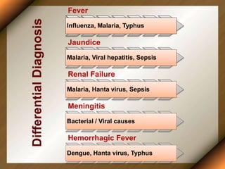 Fever
Influenza, Malaria, Typhus
Jaundice
Malaria, Viral hepatitis, Sepsis
Renal Failure
Malaria, Hanta virus, Sepsis
Meningitis
Bacterial / Viral causes
Hemorrhagic Fever
Dengue, Hanta virus, Typhus
Differential
Diagnosis
 