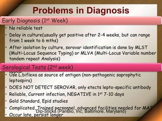 Problems in Diagnosis
Early Diagnosis (1st Week)
• No reliable test
• Delay in culture(usually get positive after 2-4 weeks, but can range
from 1 week to 6 mths)
• After isolation by culture, serovar identification is done by MLST
(Multi-Locus Sequence Typing) or MLVA (Multi-Locus Variable number
tandem repeat Analysis)
• PCR valuable but costly, and effective in acute phase, before IgM
appear
Serological Tests (2nd week)
• Use L.biflexa as source of antigen (non-pathogenic saprophytic
leptospira)
• DOES NOT DETECT SEROVAR, only etects lepto-specific antibody
• Reliable, Current infection, NEGATIVE in 1st 7-10 days
• Gold Standard, Epid studies
• Complicated, Trained personnel, advanced facilities needed for MAT
• Occur late, persist longer
Dip-Sticks (PanBio, Inc; Baltimore, Maryland)
 