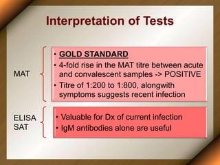 Interpretation of Tests
MAT
• GOLD STANDARD
• 4-fold rise in the MAT titre between acute
and convalescent samples -> POSITIVE
• Titre of 1:200 to 1:800, alongwith
symptoms suggests recent infection
ELISA
SAT
• Valuable for Dx of current infection
• IgM antibodies alone are useful
 