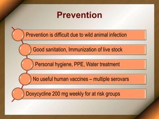 Prevention
Prevention is difficult due to wild animal infection
Good sanitation, Immunization of live stock
Personal hygiene, PPE, Water treatment
No useful human vaccines – multiple serovars
Doxycycline 200 mg weekly for at risk groups
 