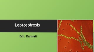 Leptospirosis
Drh. Darniati
 