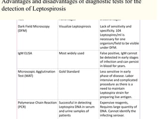 Test Advantages Disadvantages
Dark Field Microscopy
(DFM)
Visualize Leptospirosis Lack of sensitivity and
specificity. 104
Leptospires/ml is
necessary for one
organism/field to be visible
under DFM.
IgM ELISA Most widely used False positive, IgM cannot
be detected in early stages
of infection and can persist
in blood for years.
Microscopic Agglutination
Test (MAT)
Gold Standard Less sensitive in early
phase of disease. Labor
intensive and complicated
procedure as there is a
need to maintain
Leptospira strain for
preparing live antigen.
Polymerase Chain Reaction
(PCR)
Successful in detecting
Leptospira DNA in serum
and urine samples of
patients
Expensive reagents,
Requires large quantity of
DNA. Cannot identify the
infecting serovar.
Advantages and disadvantages of diagnostic tests for the
detection of Leptospirosis
 