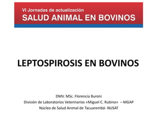 DMV. MSc. Florencia Buroni
División de Laboratorios Veterinarios «Miguel C. Rubino» – MGAP
Núcleo de Salud Animal de Tacuarembó- NUSAT
LEPTOSPIROSIS EN BOVINOS
 