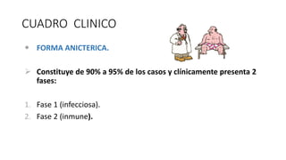 CUADRO CLINICO
 FORMA ANICTERICA.
 Constituye de 90% a 95% de los casos y clínicamente presenta 2
fases:
1. Fase 1 (infecciosa).
2. Fase 2 (inmune).
 