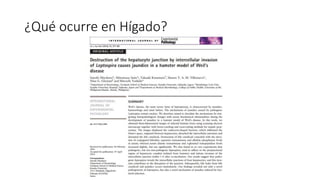 ¿Qué ocurre en Hígado?
 