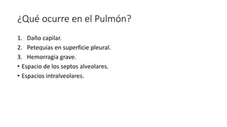 ¿Qué ocurre en el Pulmón?
1. Daño capilar.
2. Petequias en superficie pleural.
3. Hemorragia grave.
• Espacio de los septos alveolares.
• Espacios intralveolares.
 