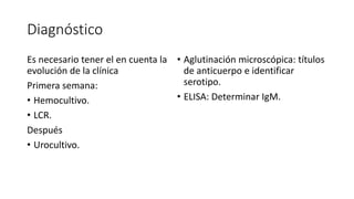Diagnóstico
Es necesario tener el en cuenta la
evolución de la clínica
Primera semana:
• Hemocultivo.
• LCR.
Después
• Urocultivo.
• Aglutinación microscópica: títulos
de anticuerpo e identificar
serotipo.
• ELISA: Determinar IgM.
 