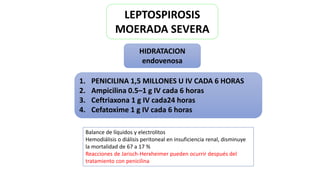 HIDRATACION
endovenosa
LEPTOSPIROSIS
MOERADA SEVERA
1. PENICILINA 1,5 MILLONES U IV CADA 6 HORAS
2. Ampicilina 0.5–1 g IV cada 6 horas
3. Ceftriaxona 1 g IV cada24 horas
4. Cefatoxime 1 g IV cada 6 horas
Balance de líquidos y electrolitos
Hemodiálisis o diálisis peritoneal en insuficiencia renal, disminuye
la mortalidad de 67 a 17 %
Reacciones de Jarisch-Herxheimer pueden ocurrir después del
tratamiento con penicilina
 