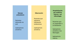 Manejo
ambulatorio
Pacientes
tolerando vía
oral
Leptospirosis
anictérica
Observación
Pacientes que
requieran
hidratación
endovenosa
Leptospirosis
anictérica
Hospitalización
por medicina
interna + val
infectologia
Pacientes que
no responden a
la hidratación
leptospirosis
anictérica mas
Meningitis
leptospirosis
ictérica.
 