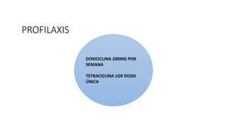 PROFILAXIS
DOXICICLINA 200MG POR
SEMANA
TETRACICLINA 1GR DOSIS
ÚNICA
 