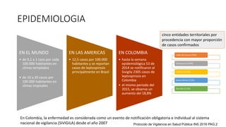 EPIDEMIOLOGIA
EN EL MUNDO
• de 0,1 a 1 caso por cada
100.000 habitantes en
climas templados
• de 10 a 20 casos por
100.000 habitantes en
climas tropicales
EN LAS AMERICAS
• 12,5 casos por 100.000
habitantes y se reportan
casos de leptospirosis
principalmente en Brasil
EN COLOMBIA
• hasta la semana
epidemiológica 53 de
2014 se notificaron al
Sivigila 2305 casos de
leptospirosis en
Colombia
• el mismo periodo del
2015, se observa un
aumento del 18,8%
En Colombia, la enfermedad es considerada como un evento de notificación obligatoria e individual al sistema
nacional de vigilancia (SIVIGILA) desde el año 2007
Valle del Cauca (23%)
Antioquia (14,8%)
Tolima (11,9%)
Santa Marta (7,2%)
Quindío (5,2%)
cinco entidades territoriales por
procedencia con mayor proporción
de casos confirmados
Protocolo de Vigilancia en Salud Pública INS 2016 PAG.2
 