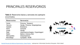 PRINCIPALES RESERVORIOS
Revista Peruana de Medicina Experimental y Salud Publica Leptospirosis: Enfermedad Zoonótica Emergente PAG.8 tabla2
 