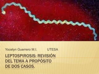 LEPTOSPIROSIS: REVISIÓN
DEL TEMA A PROPÓSITO
DE DOS CASOS.
Yocelyn Guerrero M.I. UTESA
 