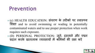  (c) HEALTH EDUCATION: िंचरण क
े तरीकों पर स्वास््य
सशक्षा and to avoid swimming or wading in potentially
contaminated waters and to use proper protection when work
requires such exposure.
 (D) PERSONAL PROTECTION: जूते, दस्ताने और एप्रन
प्रदान करक
े खतरनाक व्यविायों िें श्रसिकों की रक्षा करें
 