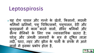  यह रोग चावल और गन्ने क
े खेतों, ककिानों, िछली
श्रसिकों खननकों, पशु धचककत्िकों, पशुपालन, डेरी और
बूचड़खानों िें काि करने वालों, िीवर श्रसिकों और
िैन्य िैननकों क
े सलए एक व्याविानयक खतरा है;
घरेलू और जंगली जानवरों क
े िूत्र िे दूषित ताजा
नदी, िारा, नहर और झील क
े पानी क
े िंपक
म िें आने
वालों िें इिका प्रकोप होता है,
 