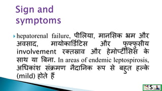  hepatorenal failure, पीसलया, िानसिक भ्रि और
अविाद, िायोकाडडमहटि और फ
ु फ्फ
ु िीय
involvement रटतस्राव और हेिोप्टीसिि क
े
िाथ या बबना. In areas of endemic leptospirosis,
अधिकांश िंक्रिण नैदाननक ​​रूप िे बहुत हल्क
े
(mild) होते हैं
 