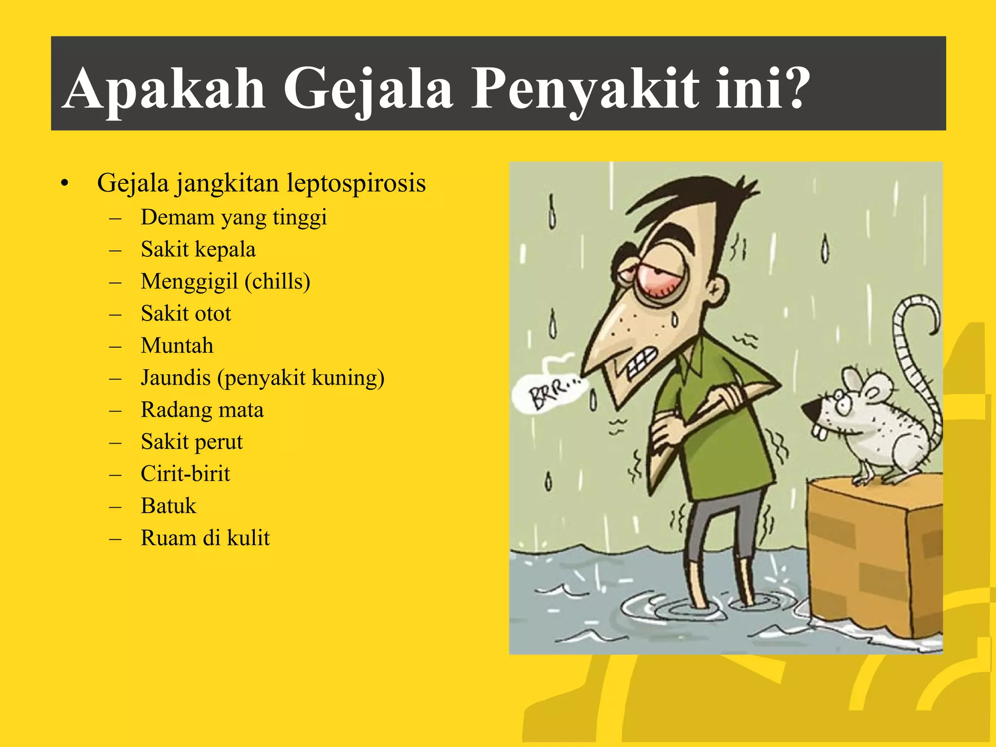 Kuning Cirit Penyakit Kencing Tikus | PPT