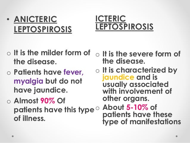 Leptospirosis 2015