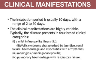 • The incubation period is usually 10 days, with a
range of 2 to 30 days.
• The clinical manifestations are highly variable.
Typically, the disease presents in four broad clinical
categories:
(i) a mild, influenza-like illness (ILI);
(ii)Weil's syndrome characterized by jaundice, renal
failure, haemorrhage and myocarditis with arrhythmias;
(iii) meningitis / meningoencephalitis;
(iv) pulmonary haemorrhage with respiratory failure.
CLINICAL MANIFESTATIONS
 