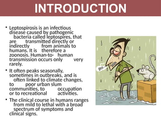 INTRODUCTION
• Leptospirosis is an infectious
disease caused by pathogenic
bacteria called leptospires, that
are transmitted directly or
indirectly from animals to
humans. It is therefore a
zoonosis. Human-to- human
transmission occurs only very
rarely.
• It often peaks seasonally,
sometimes in outbreaks, and is
often linked to climate changes,
to poor urban slum
communities, to occupation
or to recreational activities.
• The clinical course in humans ranges
from mild to lethal with a broad
spectrum of symptoms and
clinical signs.
 