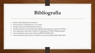 Bibliografía
• porcino.info/leptospirosis-porcina/
• www.ecured.cu/Leptospirosis_en_Cerdos
• razasporcinas.com/leptospirosis-porcina/
• mundo-pecuario.com/tema52/generalizadas/leptospirosis_porcina-160.html
• www.ciap.org.ar/ciap/Sitio/Archivos/Leptospirosis%20en%20porcino.pdf
• www.veterinaria.org/revistas/redvet/n060605/060501.pdf
• www.veterinaria.org/revistas/vetenfinf/vet_enf_inf_tripod/lepto/lepto.htm
 