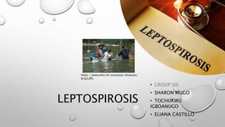 LEPTOSPIROSIS
• GROUP SIX
• SHARON MUGO
• TOCHUKWU
IGBOANUGO
• ELIANA CASTILLO
https://www.who.int/zoonoses/diseases/
lerg3.JPG
 