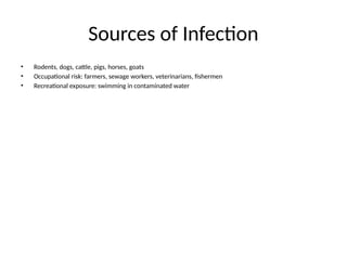 Sources of Infection
• Rodents, dogs, cattle, pigs, horses, goats
• Occupational risk: farmers, sewage workers, veterinarians, fishermen
• Recreational exposure: swimming in contaminated water
 