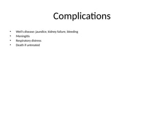 Complications
• Weil’s disease: jaundice, kidney failure, bleeding
• Meningitis
• Respiratory distress
• Death if untreated
 