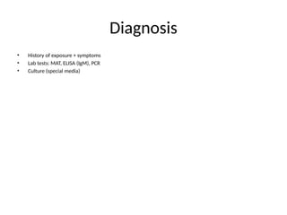Diagnosis
• History of exposure + symptoms
• Lab tests: MAT, ELISA (IgM), PCR
• Culture (special media)
 