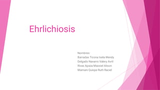 Ehrlichiosis
Nombres:
Barradas Ticona Isela Wendy
Delgado Navarro Valery Avril
Rivas Apaza Massiel Alison
Mamani Quispe Ruth Raciel
 