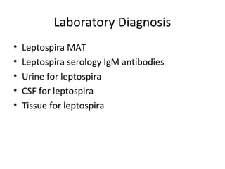 Laboratory Diagnosis
• Leptospira MAT
• Leptospira serology IgM antibodies
• Urine for leptospira
• CSF for leptospira
• Tissue for leptospira
 