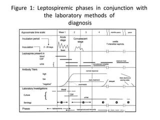 Figure 1: Leptospiremic phases in conjunction with
the laboratory methods of
diagnosis
 