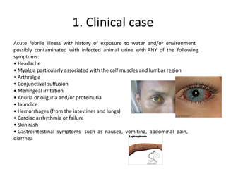 1. Clinical case
Acute febrile illness with history of exposure to water and/or environment
possibly contaminated with infected animal urine with ANY of the following
symptoms:
• Headache
• Myalgia particularly associated with the calf muscles and lumbar region
• Arthralgia
• Conjunctival suffusion
• Meningeal irritation
• Anuria or oliguria and/or proteinuria
• Jaundice
• Hemorrhages (from the intestines and lungs)
• Cardiac arrhythmia or failure
• Skin rash
• Gastrointestinal symptoms such as nausea, vomiting, abdominal pain,
diarrhea
 