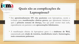 Quais são as complicações da
Leptospirose?
• Em aproximadamente 15% dos pacientes com leptospirose, ocorre a
evolução para manifestações clínicas graves, que tipicamente iniciam-se
após a primeira semana de doença, mas que pode ocorrer mais cedo,
especialmente em pacientes com apresentações fulminantes.
• A manifestação clássica da leptospirose grave é a síndrome de Weil,
caracterizada pela tríade de icterícia, insuficiência renal e hemorragias,
mais comumente pulmonar.
 