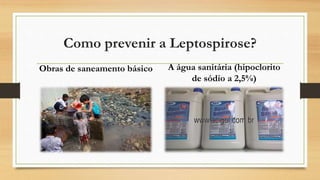 Como prevenir a Leptospirose?
Obras de saneamento básico A água sanitária (hipoclorito
de sódio a 2,5%)
 