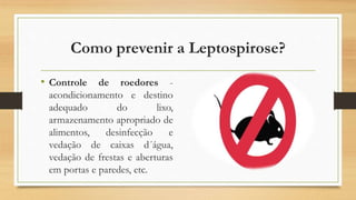 Como prevenir a Leptospirose?
• Controle de roedores -
acondicionamento e destino
adequado do lixo,
armazenamento apropriado de
alimentos, desinfecção e
vedação de caixas d´água,
vedação de frestas e aberturas
em portas e paredes, etc.
 