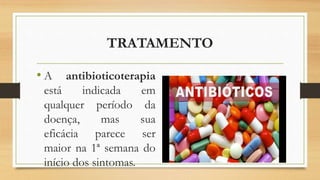 TRATAMENTO
• A antibioticoterapia
está indicada em
qualquer período da
doença, mas sua
eficácia parece ser
maior na 1ª semana do
início dos sintomas.
 