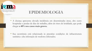 EPIDEMIOLOGIA
• A doença apresenta elevada incidência em determinadas áreas, alto custo
hospitalar e perdas de dias de trabalho, além do risco de letalidade, que pode
chegar a 40% nos casos mais graves.
• Sua ocorrência está relacionada às precárias condições de infraestrutura
sanitária e alta infestação de roedores infectados.
 
