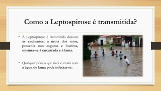 Como a Leptospirose é transmitida?
• A Leptospirose é transmitida durante
as enchentes, a urina dos ratos,
presente nos esgotos e bueiros,
mistura-se à enxurrada e à lama.
• Qualquer pessoa que tiver contato com
a água ou lama pode infectar-se.
 