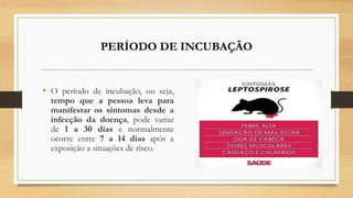 PERÍODO DE INCUBAÇÃO
• O período de incubação, ou seja,
tempo que a pessoa leva para
manifestar os sintomas desde a
infecção da doença, pode variar
de 1 a 30 dias e normalmente
ocorre entre 7 a 14 dias após a
exposição a situações de risco.
 