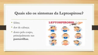 Quais são os sintomas da Leptospirose?
• febre;
• dor de cabeça;
• dores pelo corpo,
principalmente nas
panturrilhas.
 