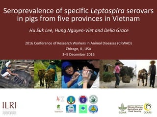 Seroprevalence of specific Leptospira serovars
in pigs from five provinces in Vietnam
Hu Suk Lee, Hung Nguyen-Viet and Delia Grace
2016 Conference of Research Workers in Animal Diseases (CRWAD)
Chicago, IL, USA
3–5 December 2016
 